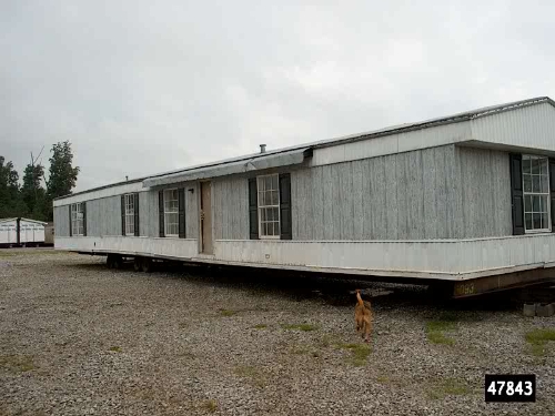 8081 BEAUTY RD, Beauty, KY 41203 