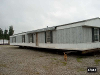 8081 BEAUTY RD, Beauty, KY 41203 