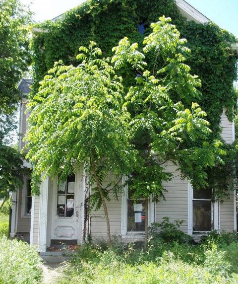 2120 New Main St, Louisville, KY 40206 