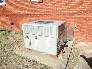 Willow, Mayfield, KY 42066 