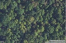 Drury, Hawesville, KY 42348 