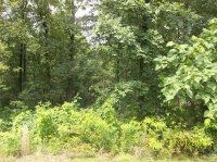Lot 100 Western Shores, Murray, KY 42071 