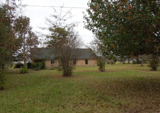 29919 Elna Ln, Livingston, LA 70754 