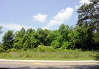 1504 S. Magnolia St, Hammond, LA 70403 