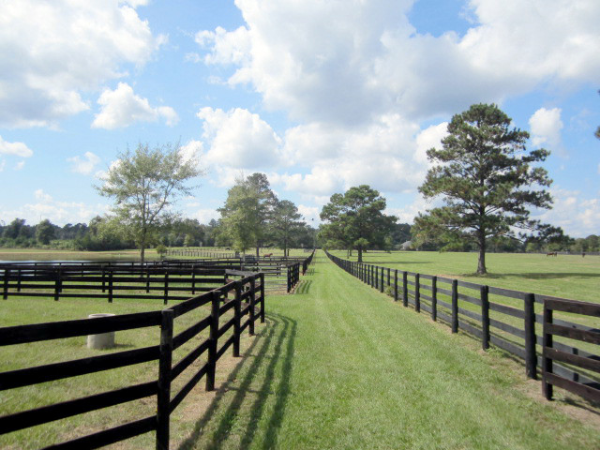 11679 Hwy 40, Folsom, LA 11679 