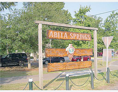 0 HICKORY ST, Abita Springs, LA 70420 