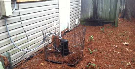 12032 Province Pl, Baton Rouge, LA 70816 