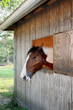 1607 Long Pond Rd, Brewster, MA 02631 