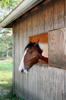 1607 Long Pond Rd, Brewster, MA 02631 