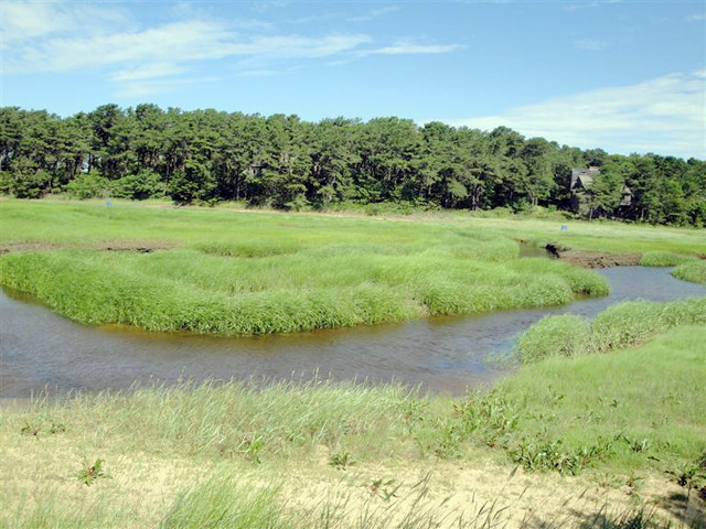 190 Blue Heron Rd, Wellfleet, MA 02667 