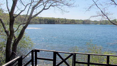 16 Maureens Way, Dennis, MA 02638 