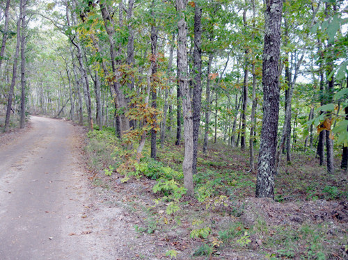 8 Squantum Pth, Harwich, MA 02645 