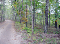 8 Squantum Pth, Harwich, MA 02645 