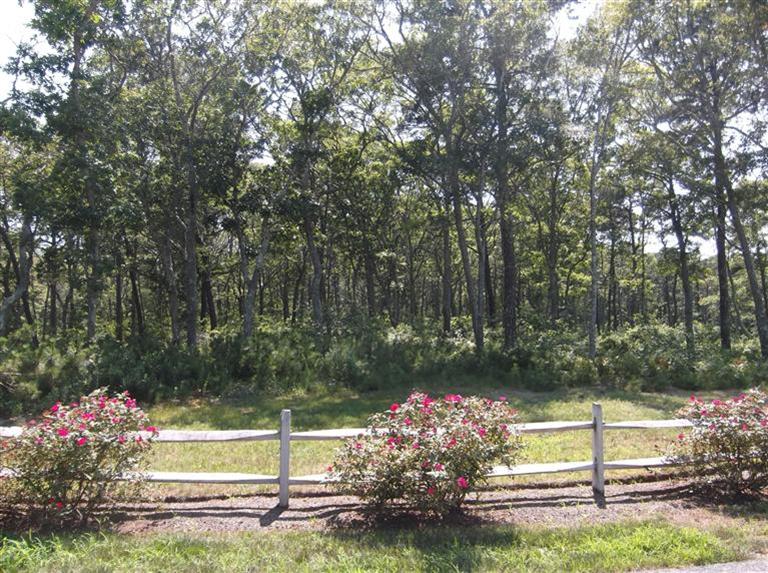 26 Walden Way, Harwich, MA 02645 