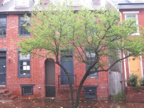 655 STIRLING ST, BALTIMORE, MD 21202 