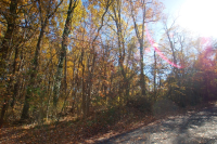 7373  HOPKINS WAY, CLARKSVILLE, MD 21029 