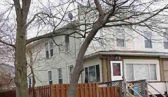 3605 Hineline Road, Baltimore, MD 21229 