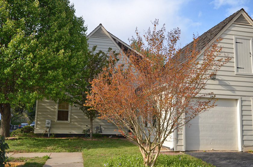 203  MEADOWGATE TERR, GAITHERSBURG, MD 20877 