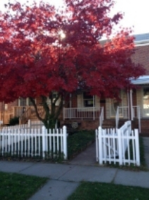 106 Riverthorn Rd, Middle River, MD 21220 