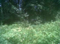 1075 Baltimore St (Account Id# 02-0, Aberdeen, MD 21001 