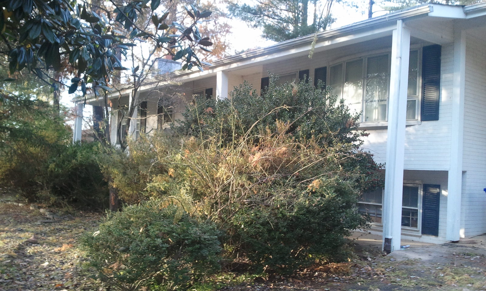 117 Beaumont Road, Silver Springs, MD 20904 