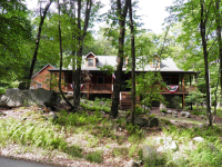 565 Laurel Ridge Road, Mchenry, MD 21541 