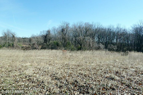 4145 WARDS CHAPEL RD, Marriottsville, MD 21104 