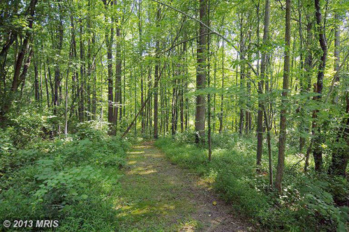 TRIADELPHIA MILL RD, Clarksville, MD 21029 