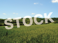 2480 BEAVER DAM RD, Chesapeake Beach, MD 20732 