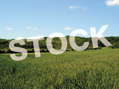 7830 BROOMES ISLAND RD S, Port Republic, MD 20676 