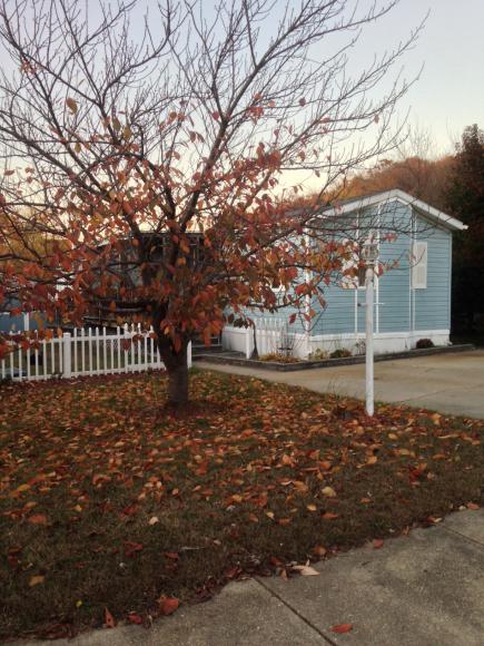 7810 Clark Rd Lot E-18, Jessup, MD 20794 