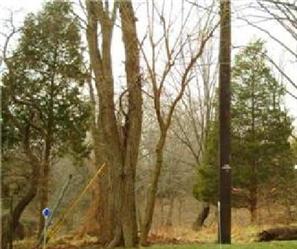 5810 Dimes Road, Rockville, MD 20855 