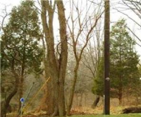 5810 Dimes Road, Rockville, MD 20855 