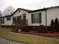 89 Elkington, Adrian, MI 49221 