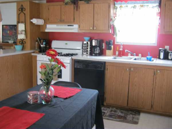 11399 Caberfae, Allendale, MI 49401 