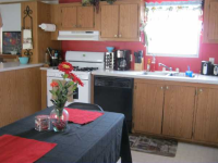 11399 Caberfae, Allendale, MI 49401 