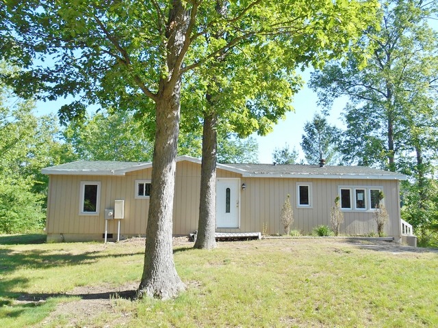 10747 N Dragonfly Way, Bitely, MI 49309 