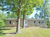 10747 N Dragonfly Way, Bitely, MI 49309 