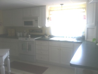 277 Carousel, Howell, MI 48843 