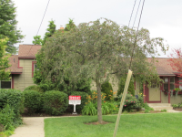 2634 Whitewood St #363, Ann Arbor, MI 48104 