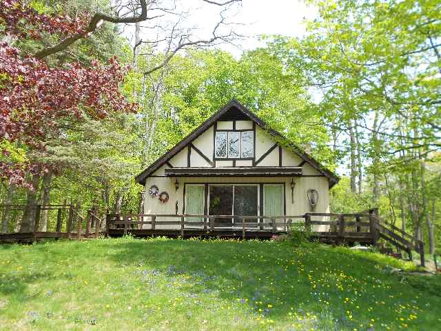 10419 South Fritz Road, Maple City, MI 49664 