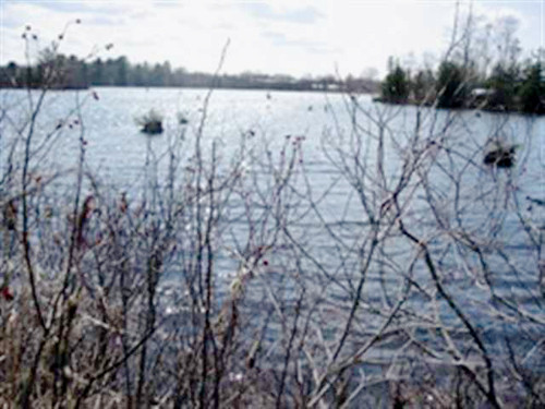 0 Rivershore Drive, Elk Rapids, MI 49629 