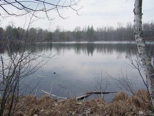 TBD NORWAY, Lake, MI 48632 