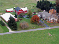 251 NOBLE RD, Williamston, MI 48895 