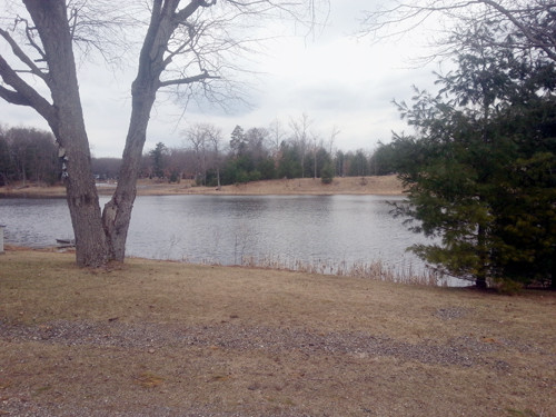 2890 Oak St., Curran, MI 48728 