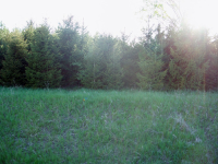 TBD VANDECAR, Farwell, MI 48622 