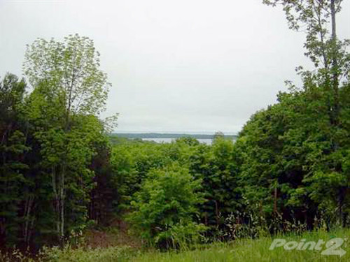 Lot 5 S Shadynook Road, Central Lake, MI 49622 