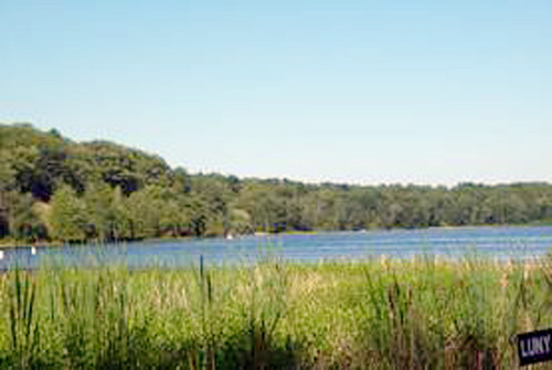 West Lakeside Dr, Hale, MI 48739 