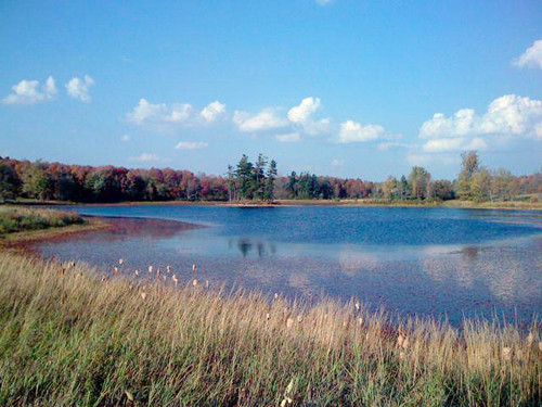 MURNER Road, Gaylord, MI 49735 