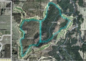 HAYES Road, Gaylord, MI 49735 